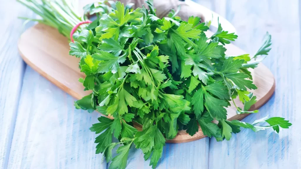 ادویه طعم دهنده پیاز جعفری